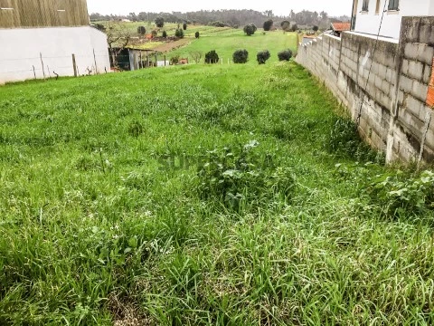 Terreno em Fermentelos, Águeda