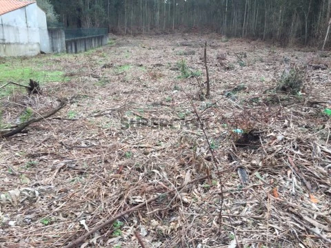 Terreno em Sangalhos, Anadia