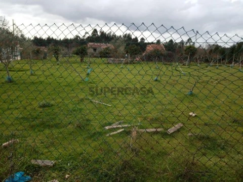 Terreno em Aguada de Cima, Águeda