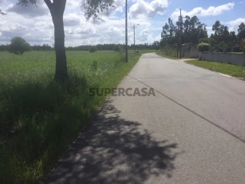 Terreno na Rua dos Lagos, Sosa, Vagos