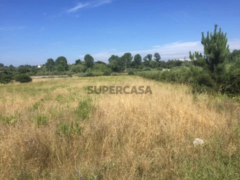 Terreno em Arcos e Mogofores, Anadia