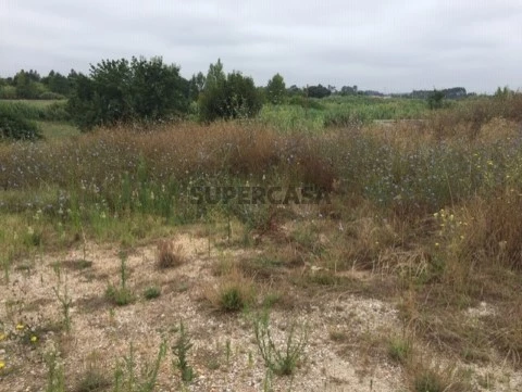 Terreno em Arcos e Mogofores, Anadia