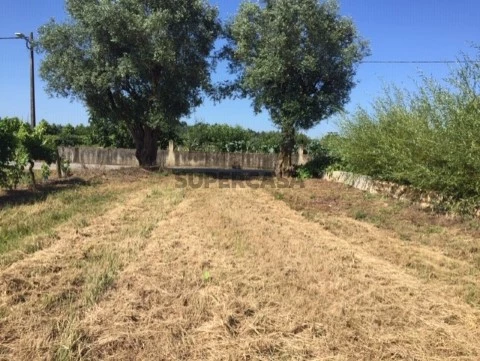 Grundstück auf São Lourenço do Bairro, Anadia