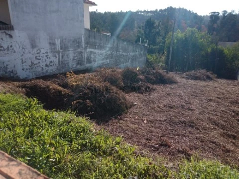 Terreno em Águeda, Águeda