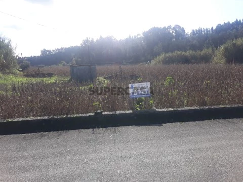 Terreno em Amoreira da Gândara, Paredes do Bairro e Ancas, Anadia