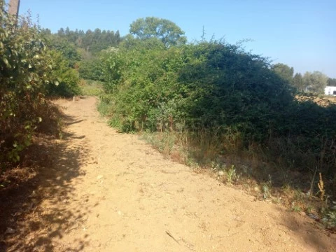 Terrain au Rua Porto das Vacas, Barrô, Águeda
