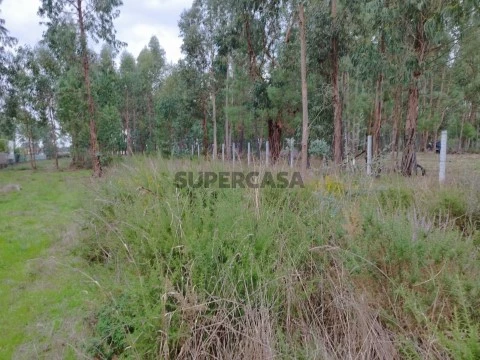 Terreno na Rua das Promessas, São Lourenço do Bairro, Anadia