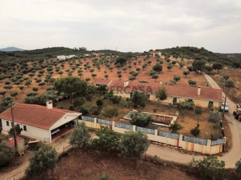 Quinta T6 em Glória, Estremoz