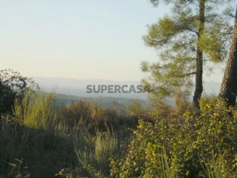 Foto 02