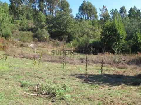 Terreno em Vila Cova de Alva e Anseriz, Arganil