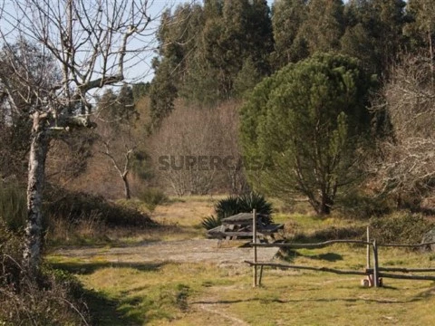Terreno em São João da Boa Vista, Tábua