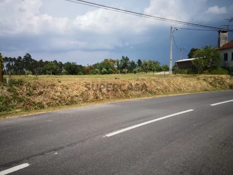 Espectacular terreno com uma grande frente e prado para animais, perto de Fatima