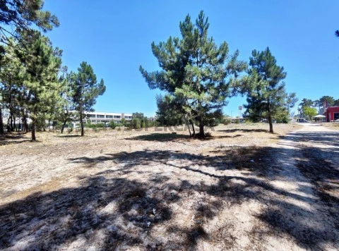 01 - Lote Terreno Pinhal de Negreiros