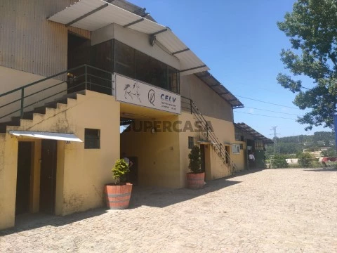 Quinta T5 na Rua do Loureiro, Fermentões, Guimarães