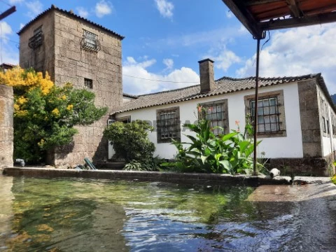 Quinta Histórica do século XIX com 8,4 ha em Roriz - Santo Tirso