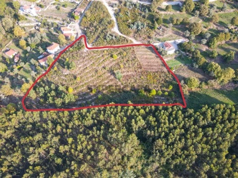 Terreno rustico con 8.250 m² a Travanca, Amarante