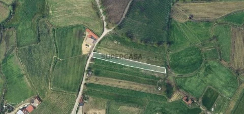 Cópia de 1548
