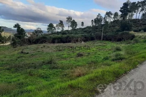 Terreno em Pegarinhos, Alijó