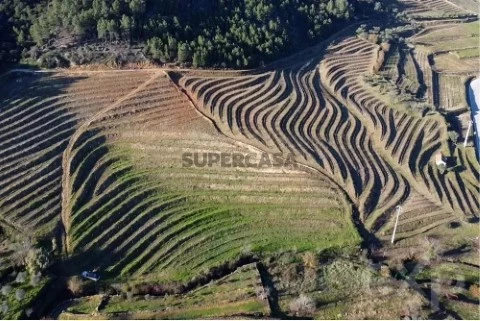 Terreno em São Mamede de Ribatua, Alijó