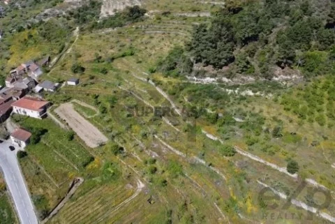 Terreno em Pegarinhos, Alijó