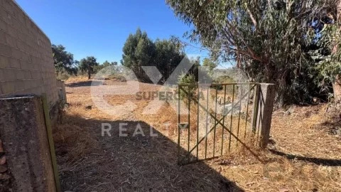 Terreno em Aranhas, Penamacor