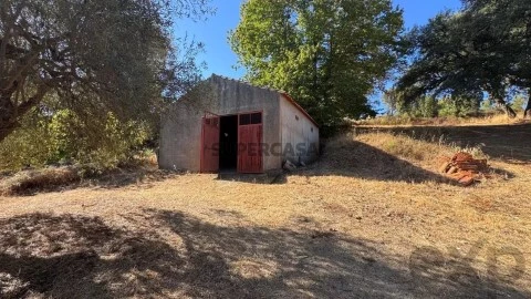 Terreno em Aranhas, Penamacor