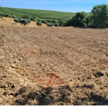 Terreno em Baleizão, Beja
