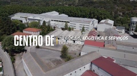 Sem Título