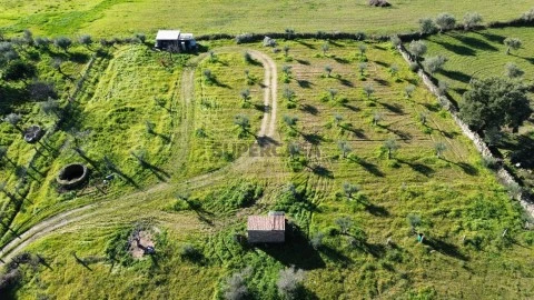 DJI_0346