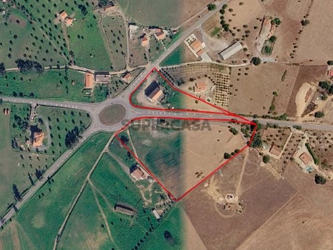 Limites