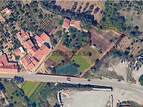 Terreno Monchique