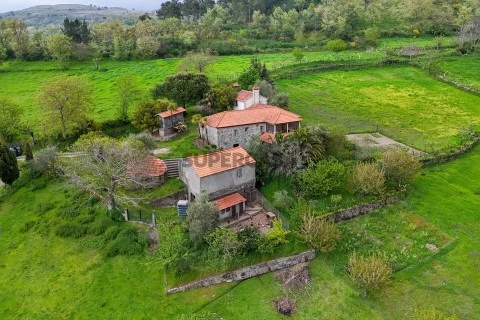 Quinta T4 em Felgueiras e Feirão, Resende
