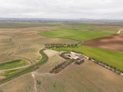 67 Hectares de Terreno de Regadio | Caia, São Pedro e Alcáçova - Elvas