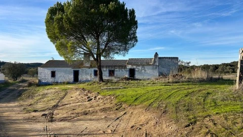 Herdade Rústica com 8,17 ha - Arraiolos, Alentejo