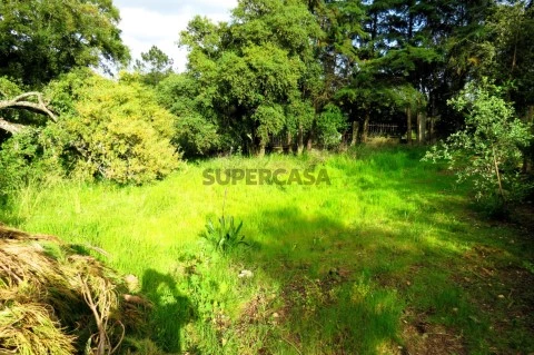 Construa uma Moradia Única | Lote Exclusivo 2750 m² com 900 m² de Construção - Palmela