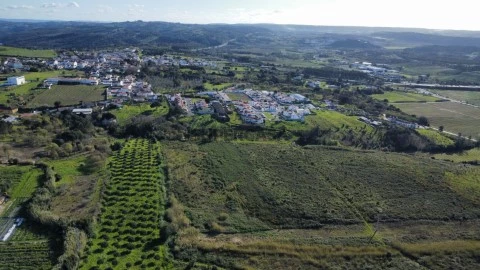 WhatsApp Image 2025-03-17 at 15.31.11 (1)