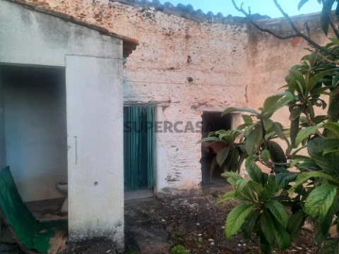 Quintal