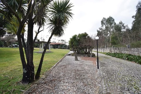 Quinta na Rua Central de Redundo, Monte Córdova, Santo Tirso
