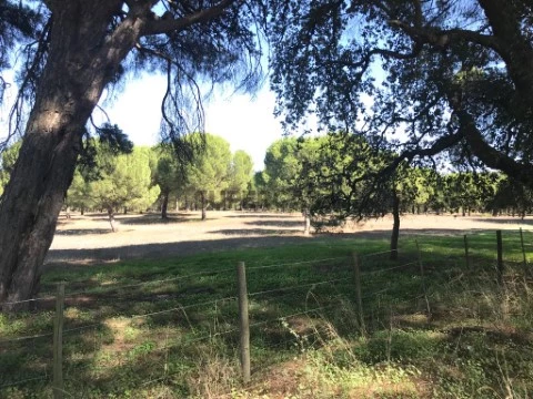 Herdade em Sado, Setúbal