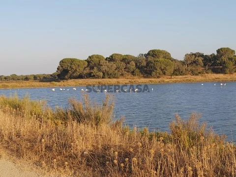 Herdade em Sado, Setúbal