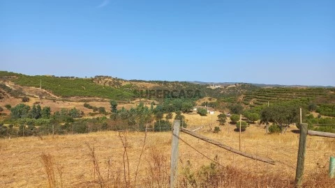 Courela da Figueira