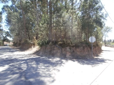 P7275690