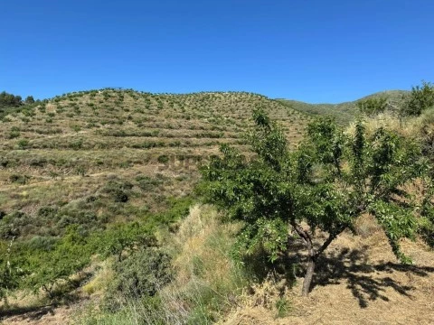 Terreno em Longroiva, Meda