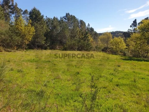 Terreno em Cerva e Limões, Ribeira de Pena