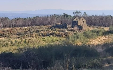 Quinta Cavernães.....
