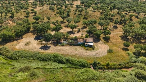 Propriedade