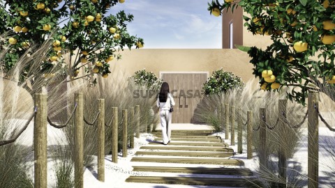 Entrada