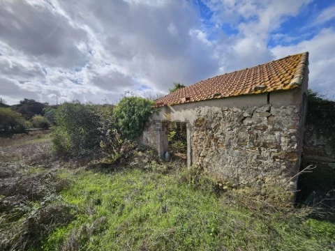 Terreno Misto