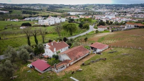 DJI_0430 (Medium)