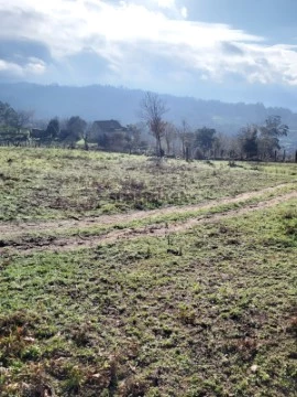 campo 2